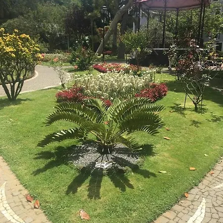 Garden - Casa Sao Joao - 4 Star Tourist * Angra do Heroísmo