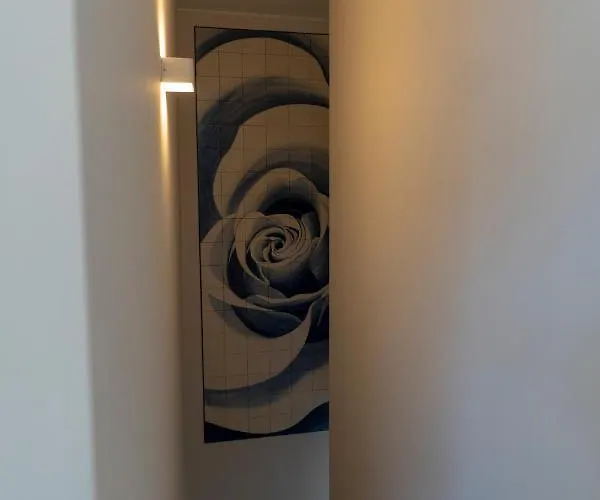 Garden - Casa Sao Joao - 4 Star Tourist