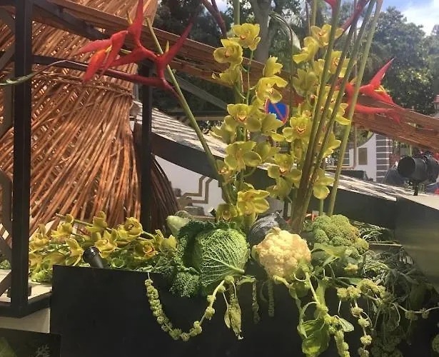 Apartament Garden - Casa Sao Joao - 4 Star Tourist *