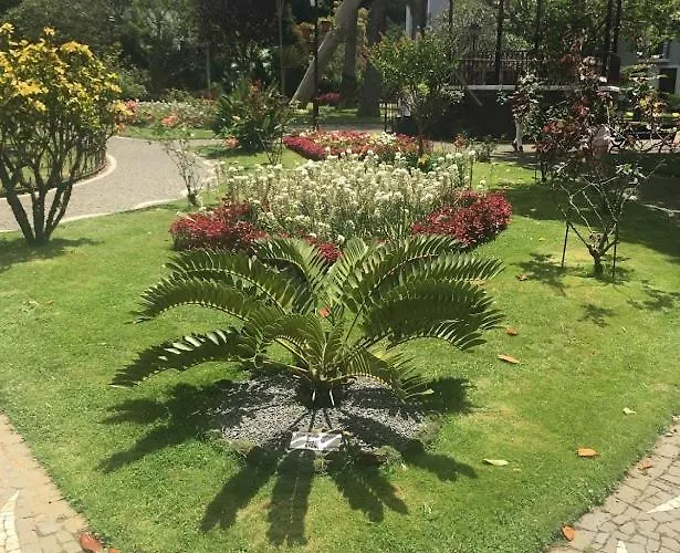 Garden - Casa Sao Joao - 4 Star Tourist * Angra do Heroísmo