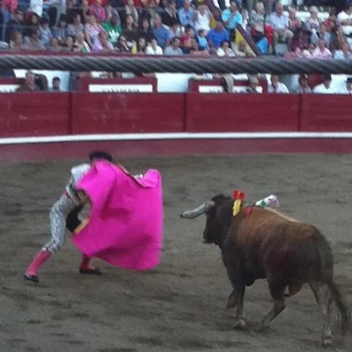 Garden - Casa Sao Joao - 4 Star Tourist * Angra do Heroísmo