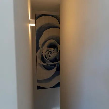 Garden - Casa Sao Joao - 4 Star Tourist