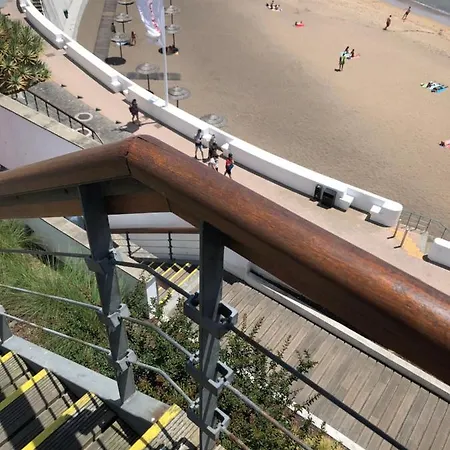 Garden - Casa Sao Joao - 4 Star Tourist * Angra do Heroismo