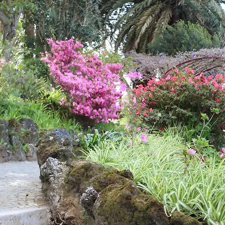 Apartment Garden - Casa Sao Joao - 4 Star Tourist *