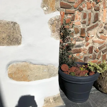 Garden - Casa Sao Joao - 4 Star Tourist Apartment