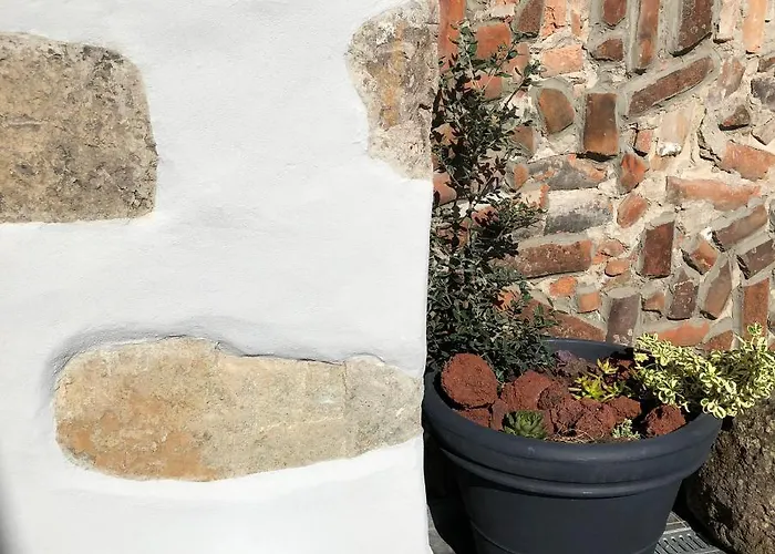 Garden - Casa Sao Joao - 4 Star Tourist Daire